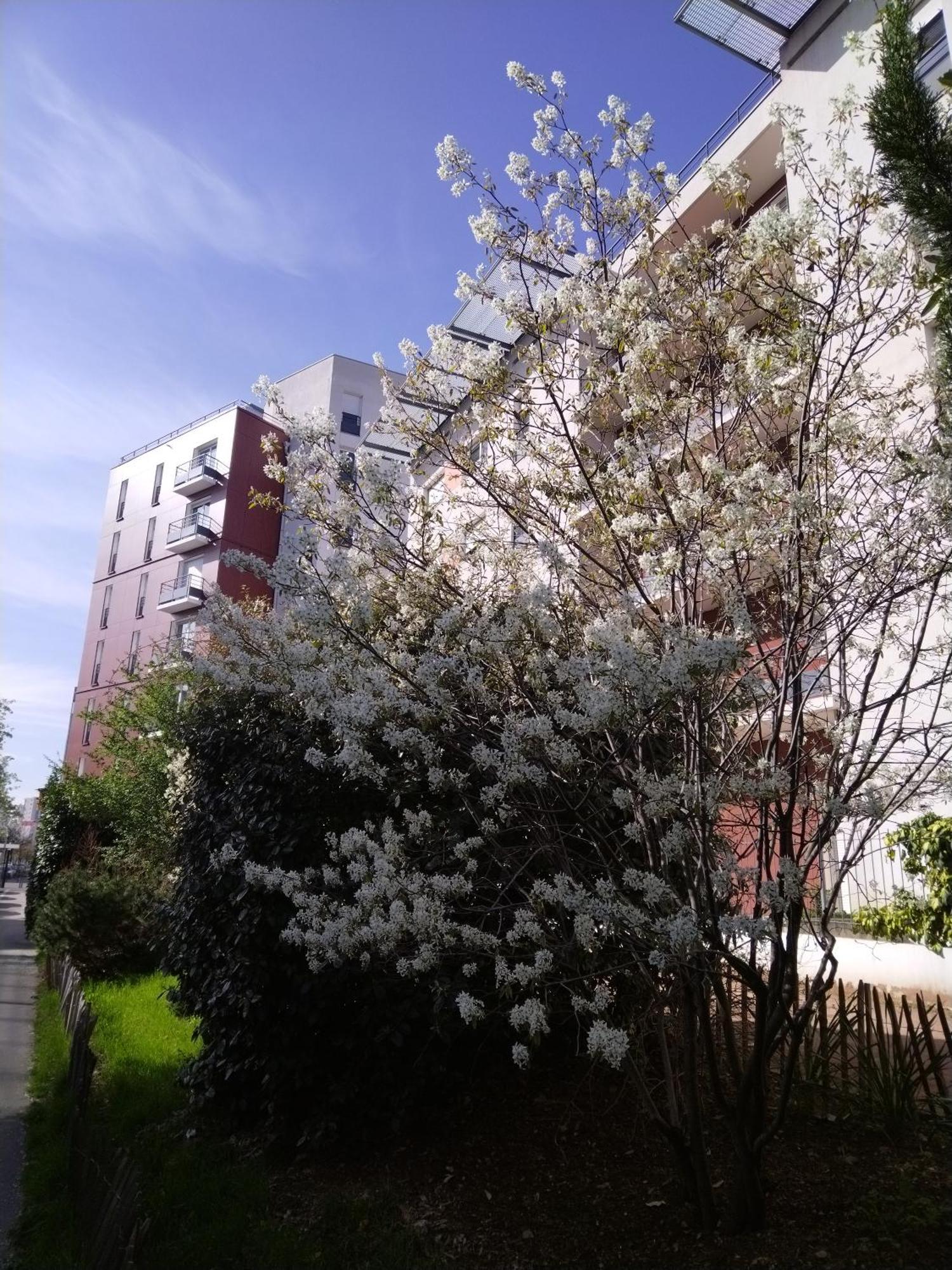 Apparthotel Privilodges Lyon Lumiere Esterno foto